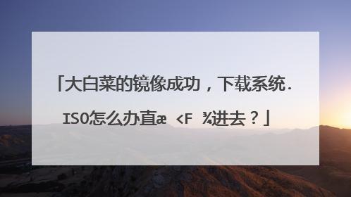 大白菜iso放在哪里