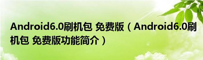 安卓6.0系统的刷机包