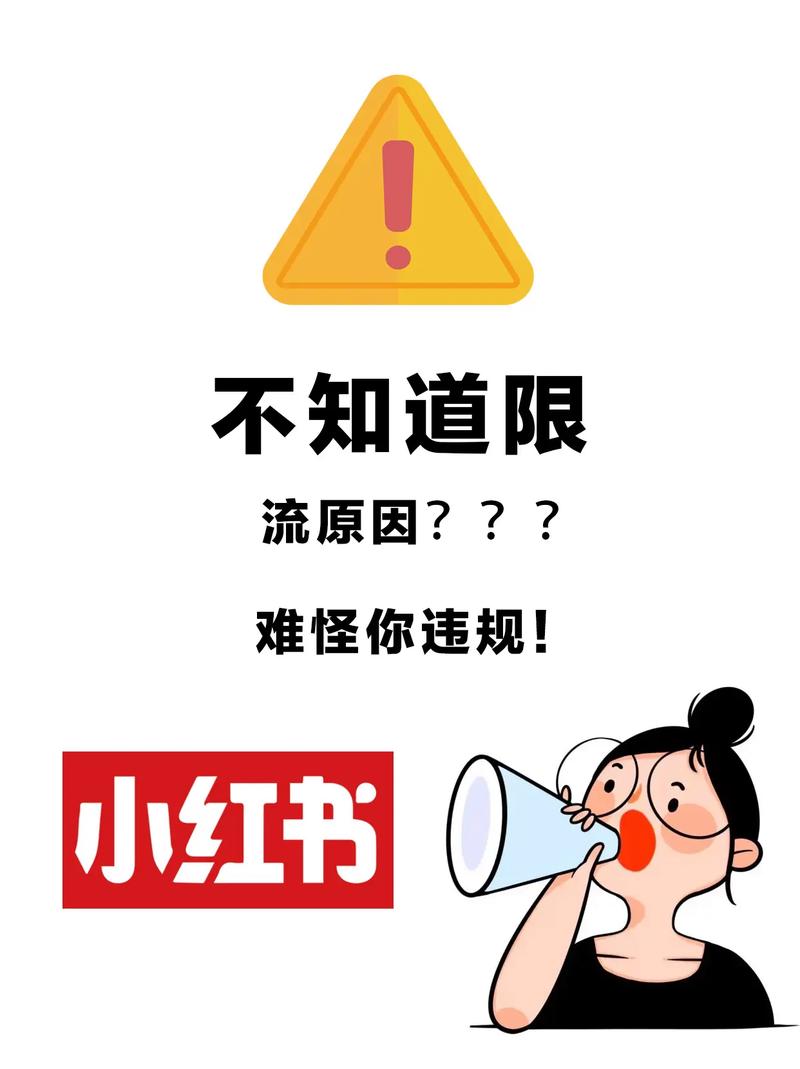 一键安装操作系统，哪些工具或服务提供这一便捷功能？