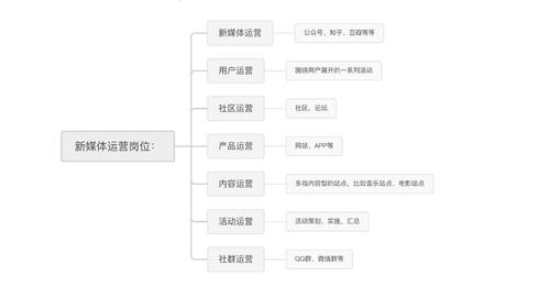 如何解决vivo X6无法启动的问题？