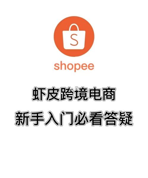 如何找到并使用U盘中的PE工具？