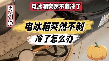 冰箱故障视频集锦大全