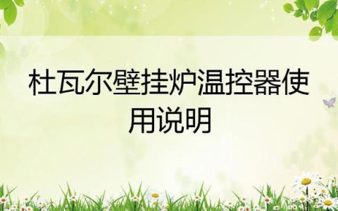 杜瓦尔壁挂炉出现故障，该如何快速诊断并修复？