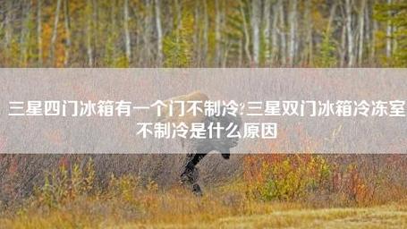 双门冰箱故障