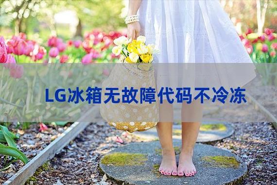 lg冰箱各种故障