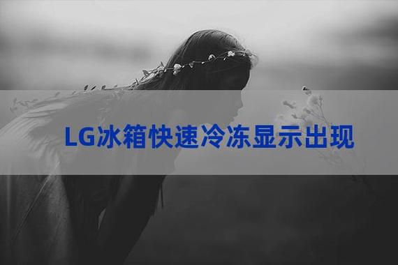 冰箱故障的英文