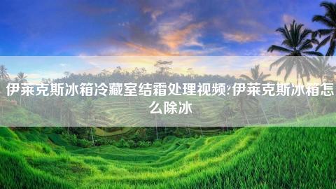 伊莱克斯冰箱结霜故障