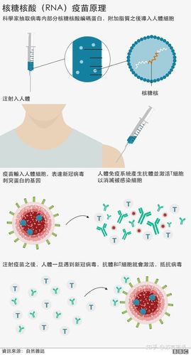 疫苗冰箱故障处理流程