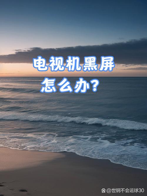 检测电视黑屏故障软件