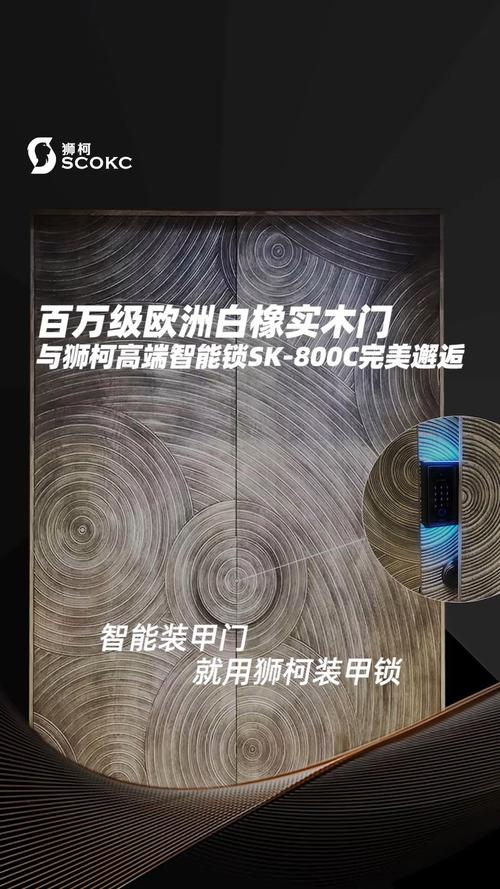 狮柯智能锁故障代码表