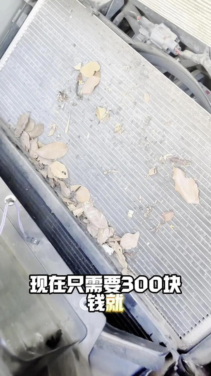 特斯拉空调故障问题